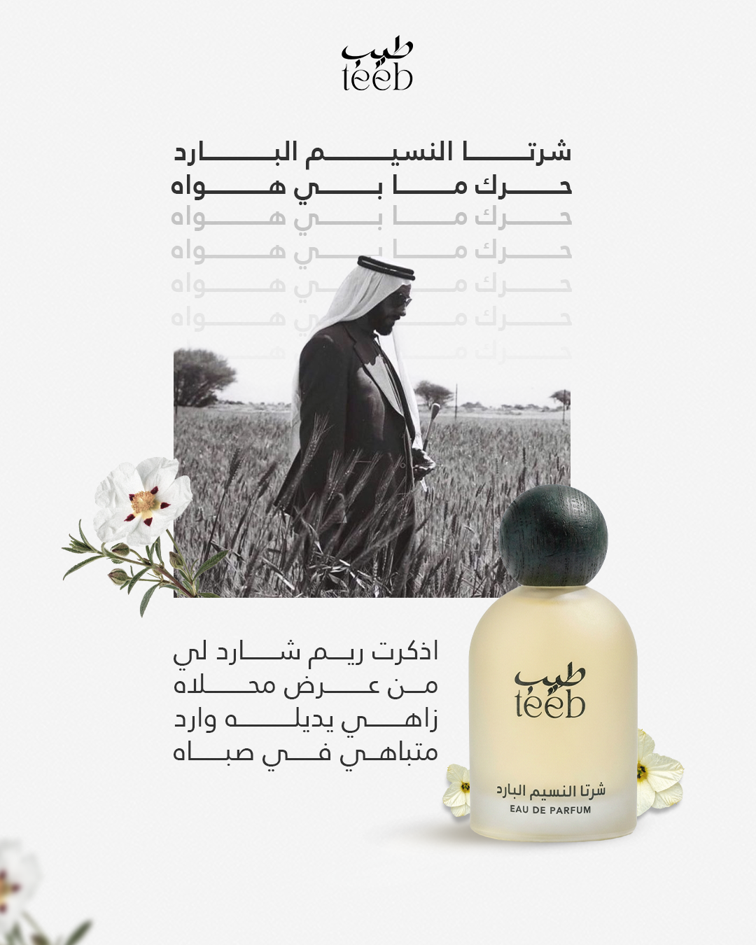 Teeb - perfume 3-KV---Sheikh-Zayed_03
