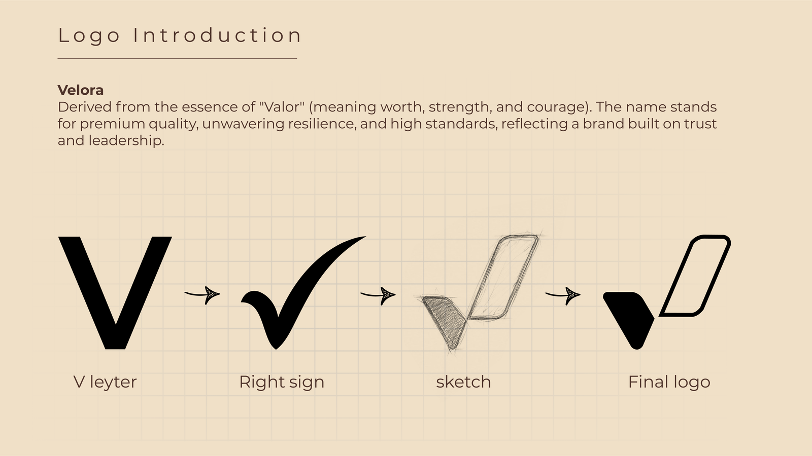 Velora Visual Asset Velora-02